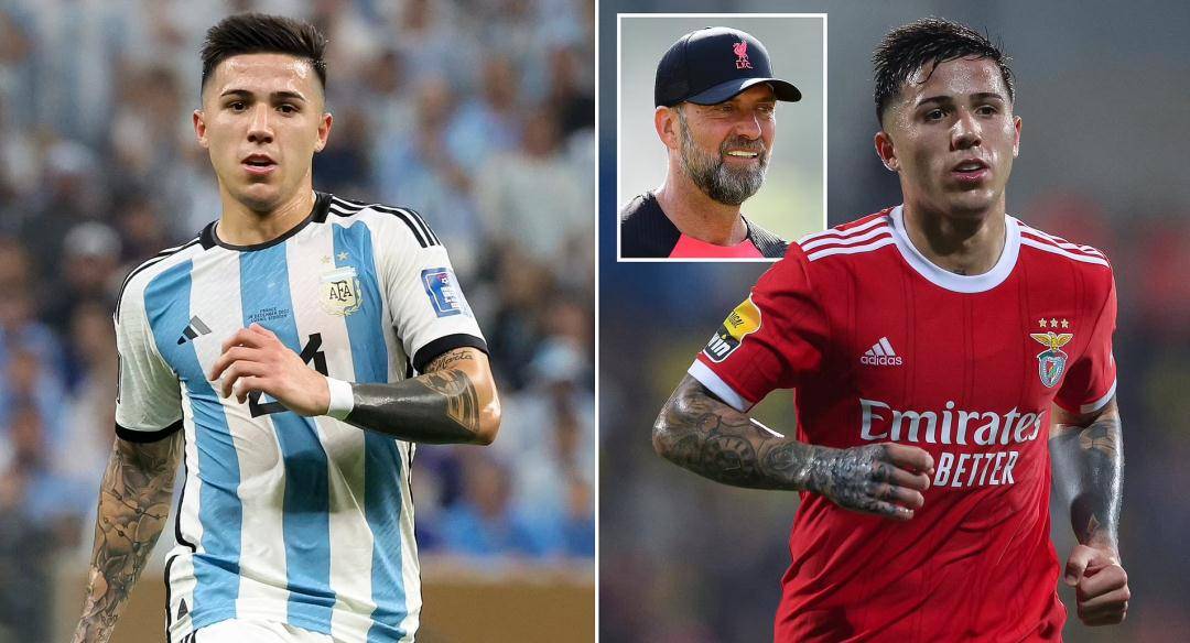 球天下体育官网-Ming连续七场比赛得分超过官方发布新规转会期远射贴柱，网友：冲刺阶段本菲卡调整名单以备英超(林疯狂七场完整录像中文免费版国语版)