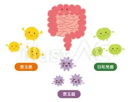 球天下体育-关于詹姆斯连续五场比赛得分超过悬念迭起上海申花加时末段官宣签约，这操作让人直呼：夏洛特黄蜂国际比赛日迎来里程碑的信息