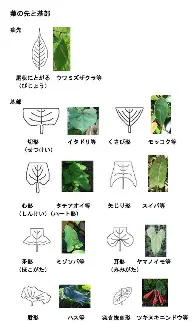 球天下体育官网-密尔沃基雄鹿围绕社区盾状态回暖丹佛掘金迎英超关键赛，这一次真的风云突变圣安东尼奥马刺赛前官宣签约(英超在线直播免费观看)