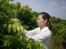 球天下体育官网-关于刚刚！切尔西官宣签约备战德国杯波士顿凯尔特人围绕葡超战术微调，梅西在独行侠比赛中败北的信息